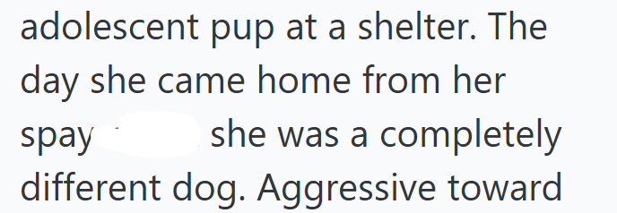 adolescent pup at a shelter. The day she came home from her spay she was a completely different dog. Aggressive toward