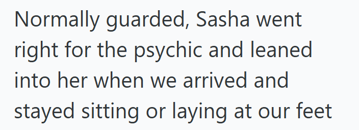 Normally guarded, Sasha went right for the psychic and leaned into her when we arrived and stayed sitting or laying at our feet