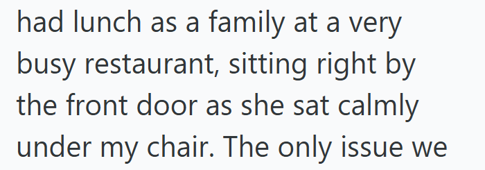had lunch as a family at a very busy restaurant, sitting right by the front door as she sat calmly under my chair. The only issue we