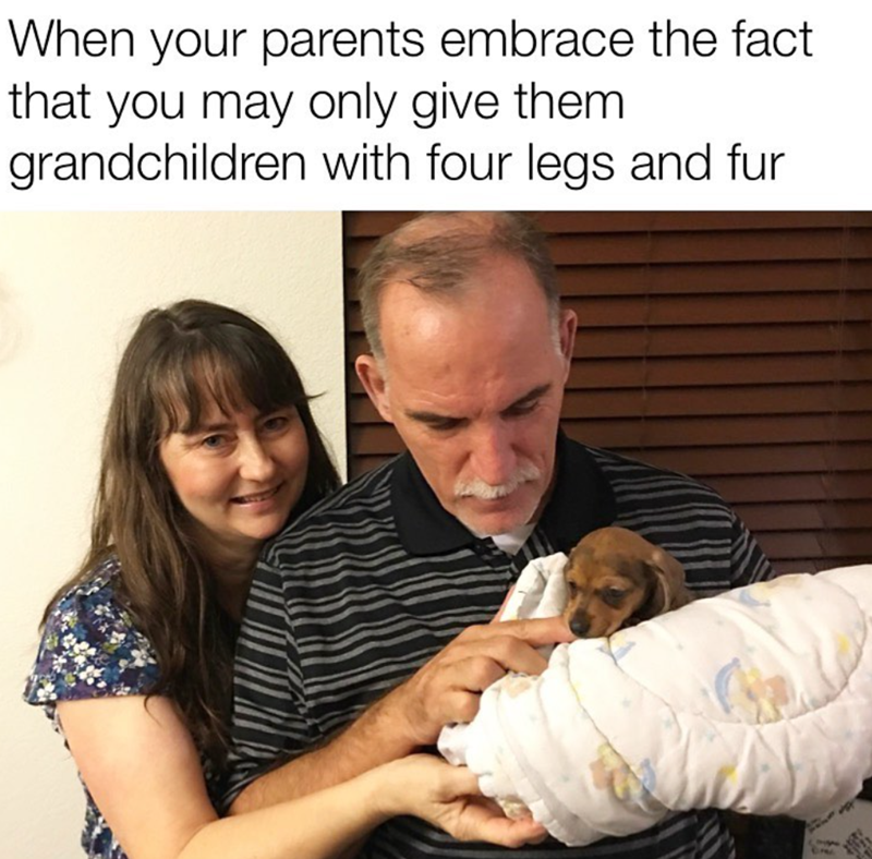 When your parents embrace the fact that you may only give them. grandchildren with four legs and fur