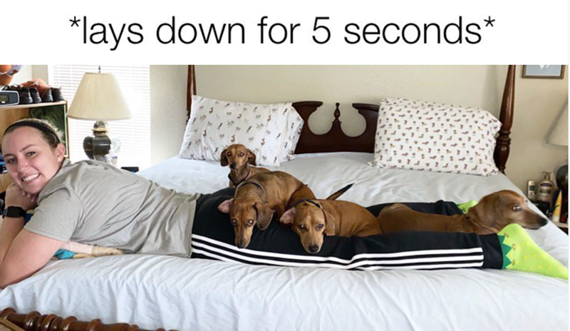 *lays down for 5 seconds*