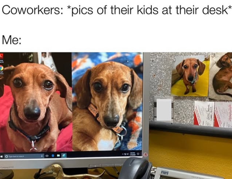 Coworkers: *pics of their kids at their desk* Me: QUST wwww SPRECINC