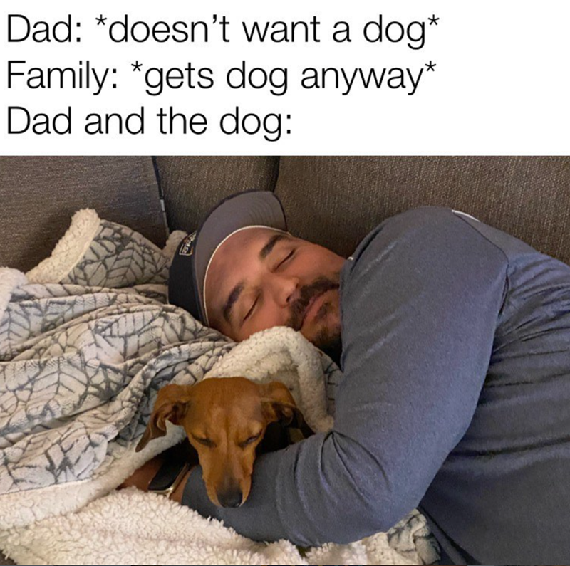 Dad: *doesn't want a dog* Family: *gets dog anyway* Dad and the dog: