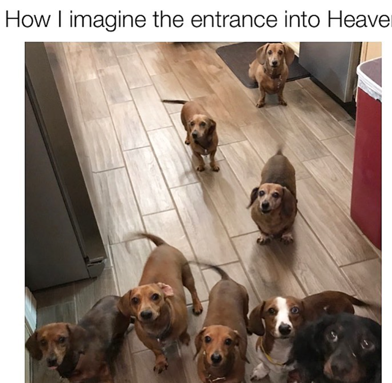 How I imagine the entrance into Heaver