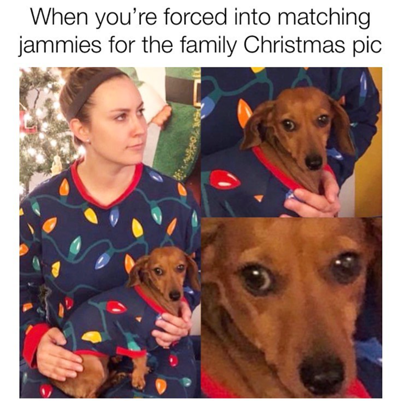 When you're forced into matching jammies for the family Christmas pic