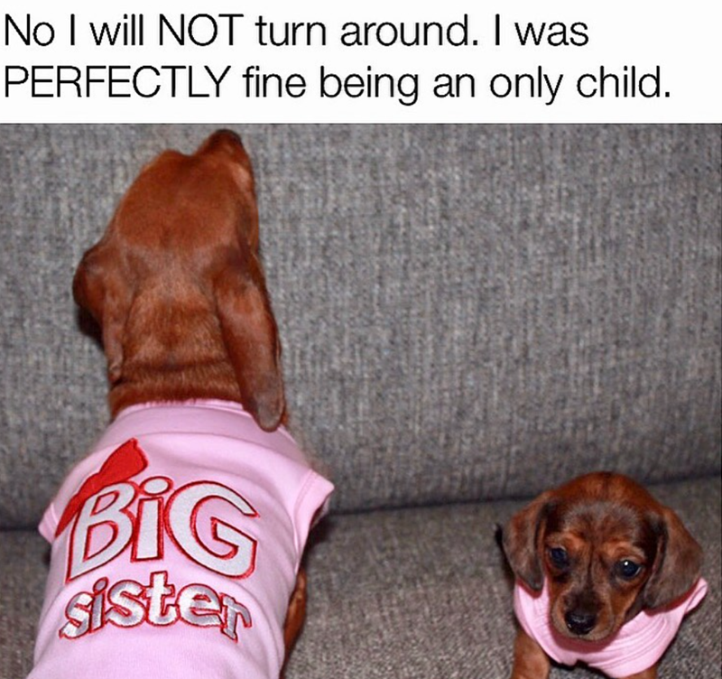 No I will NOT turn around. I was PERFECTLY fine being an only child. BIG sister