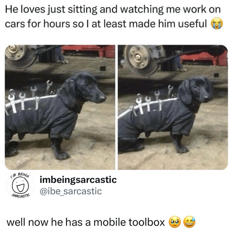 He loves just sitting and watching me work on cars for hours so I at least made him useful I'M BEING SARCASTIC imbeingsarcastic @ibe_sarcastic well now he has a mobile toolbox o