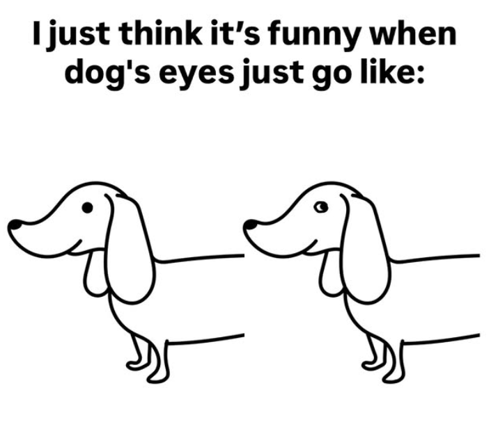 I just think it's funny when dog's eyes just go like: