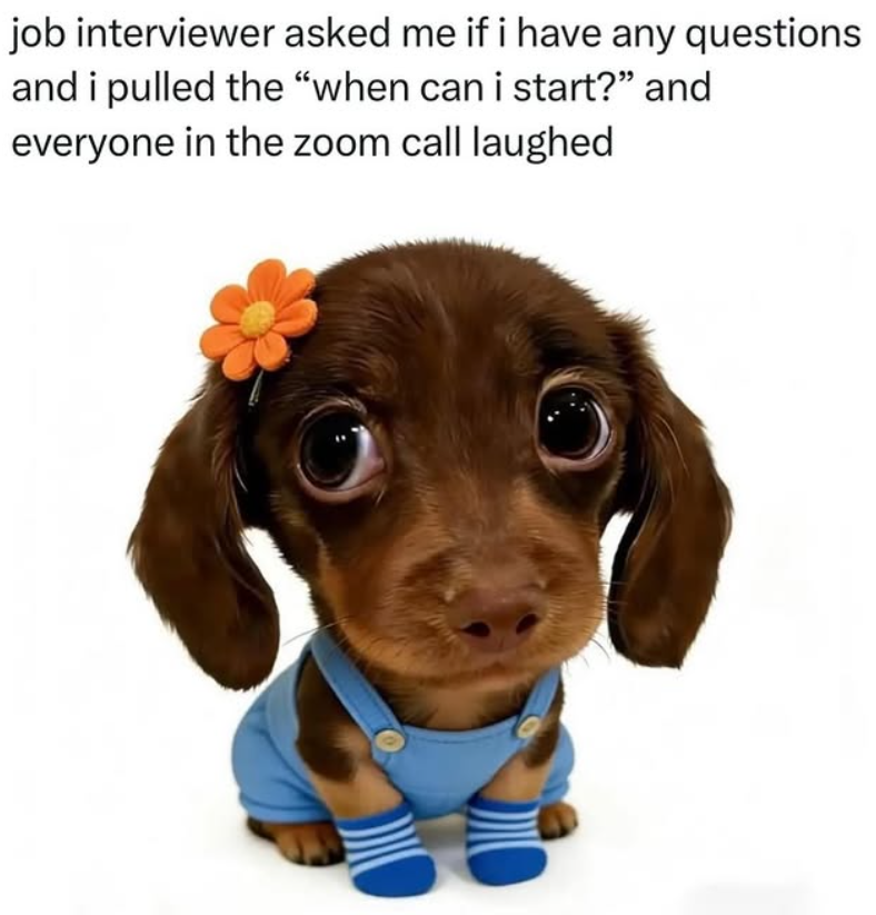 job interviewer asked me if i have any questions and i pulled the "when can i start?" and everyone in the zoom call laughed