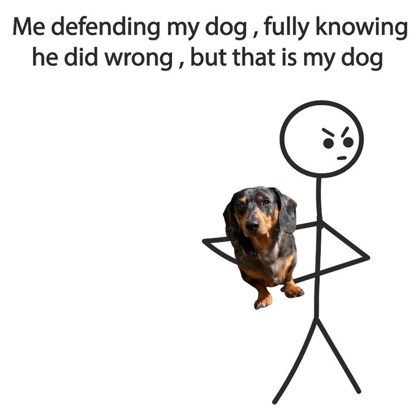 Me defending my dog, fully knowing he did wrong, but that is my dog
