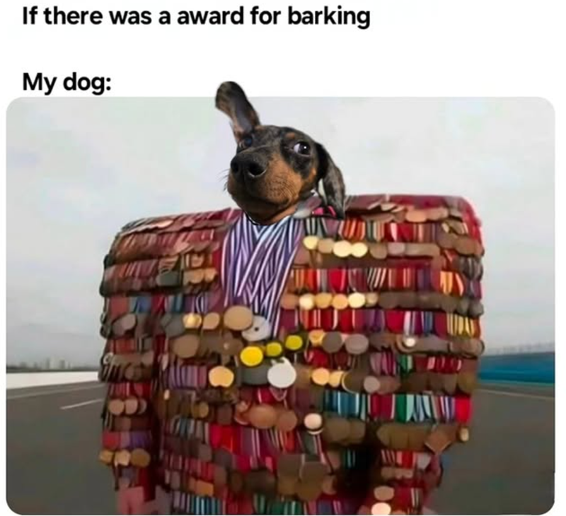 If there was a award for barking My dog: