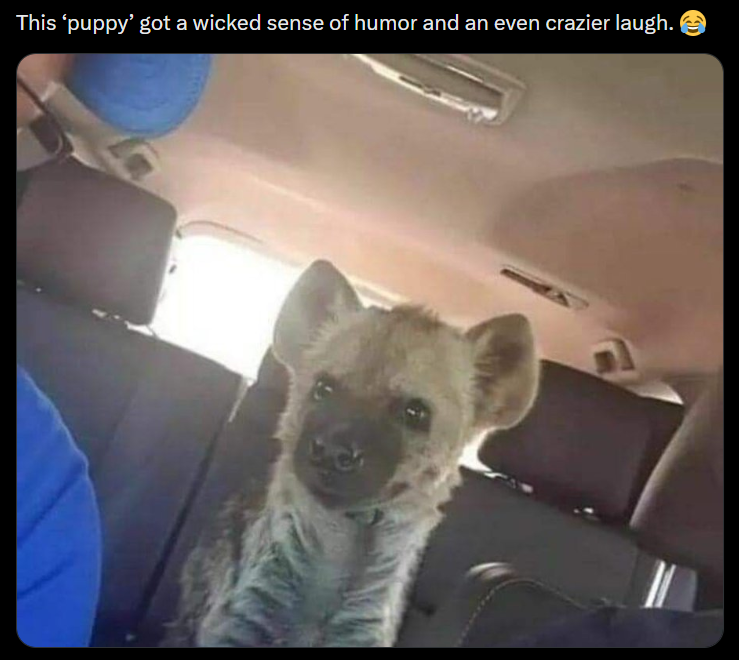 This 'puppy' got a wicked sense of humor and an even crazier laugh.