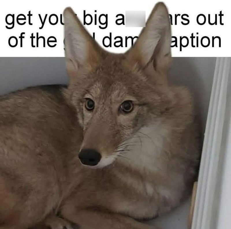 get you big a of the dam rs out aption