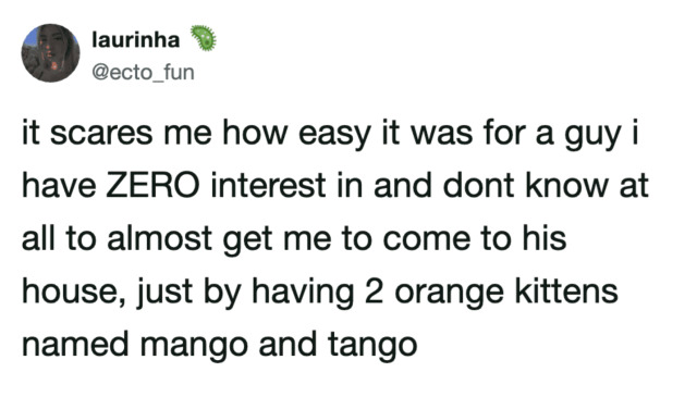 laurinha @ecto_fun it scares me how easy it was for a guy i have ZERO interest in and dont know at all to almost get me to come to his house, just by having 2 orange kittens named mango and tango