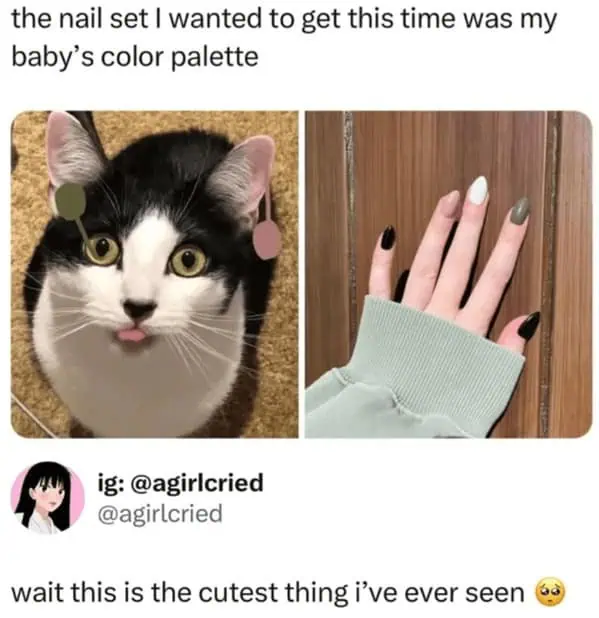 the nail set I wanted to get this time was my baby's color palette ig: @agirlcried @agirlcried wait this is the cutest thing i've ever seen