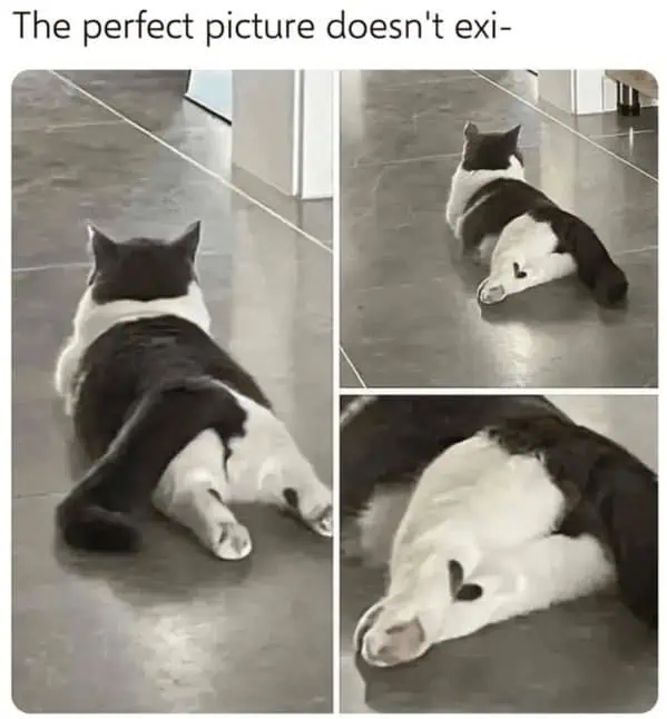 The perfect picture doesn't exi-