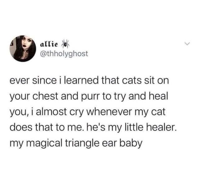 > allie @thholyghost ever since i learned that cats sit on your chest and purr to try and heal you, i almost cry whenever my cat does that to me. he's my little healer. my magical triangle ear baby