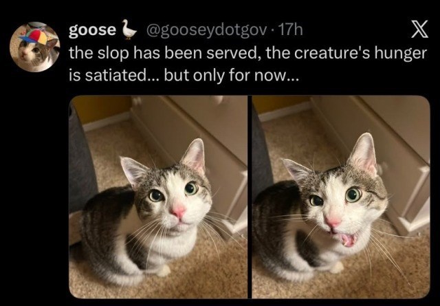 goose @gooseydotgov. 17h X the slop has been served, the creature's hunger is satiated... but only for now...