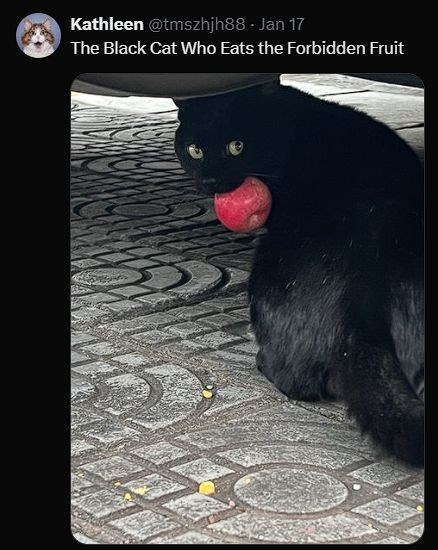Kathleen @tmszhjh88 - Jan 17 The Black Cat Who Eats the Forbidden Fruit