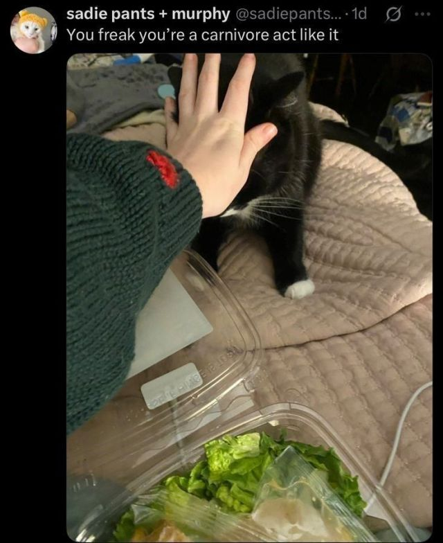 sadie pants + murphy @sadiepants.... 1d You freak you're a carnivore act like it