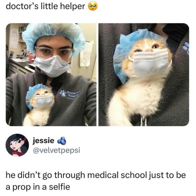doctor's little helper World Anim jessie @velvetpepsi he didn't go through medical school just to be a prop in a selfie