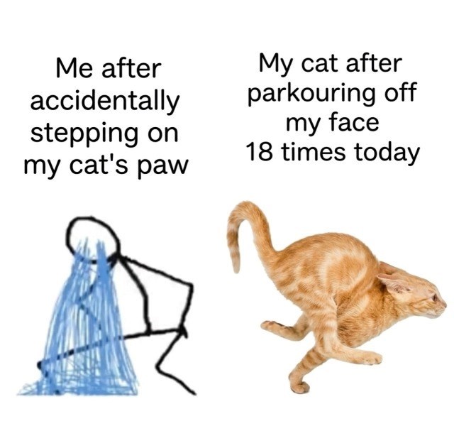 Me after accidentally stepping on my cat's paw My cat after parkouring off my face 18 times today