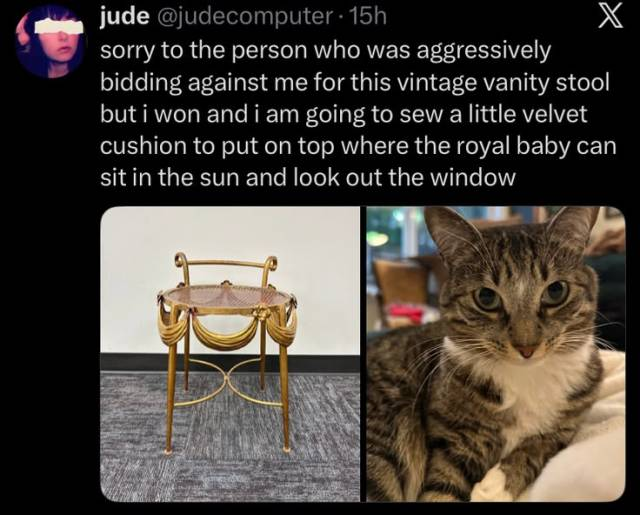 jude @judecomputer. 15h sorry to the person who was aggressively bidding against me for this vintage vanity stool but i won and i am going to sew a little velvet cushion to put on top where the royal baby can sit in the sun and look out the window