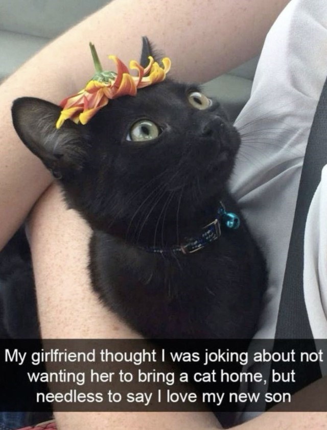My girlfriend thought I was joking about not wanting her to bring a cat home, but needless to say I love my new son
