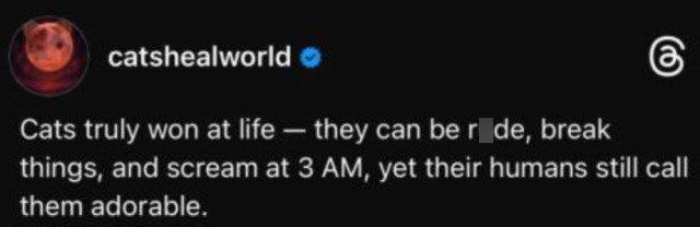 catshealworld Cats truly won at life - they can be r_de, break 6 things, and scream at 3 AM, yet their humans still call them adorable.