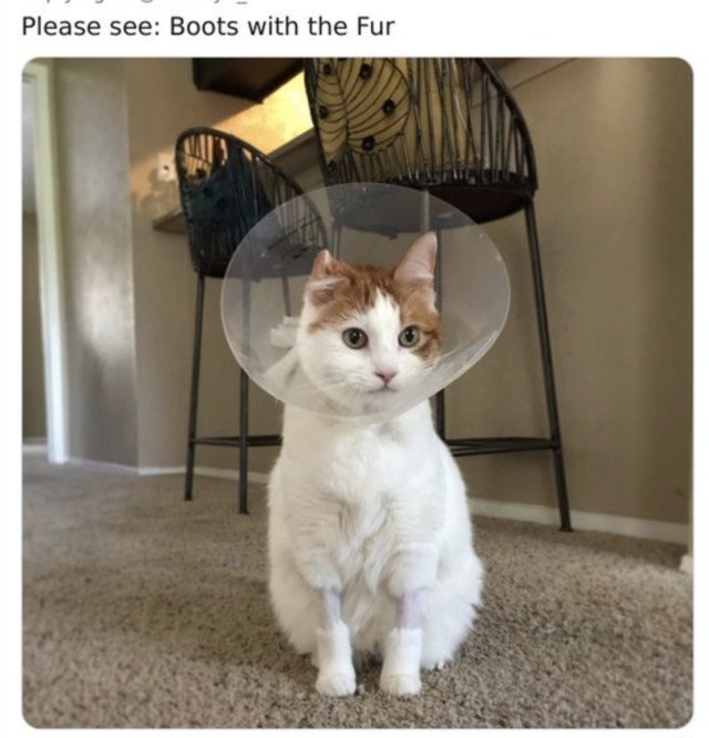 Please see: Boots with the Fur