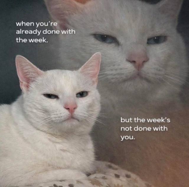 when you're already done with the week. but the week's not done with you.
