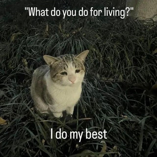 "What do you do for living?" I do my best
