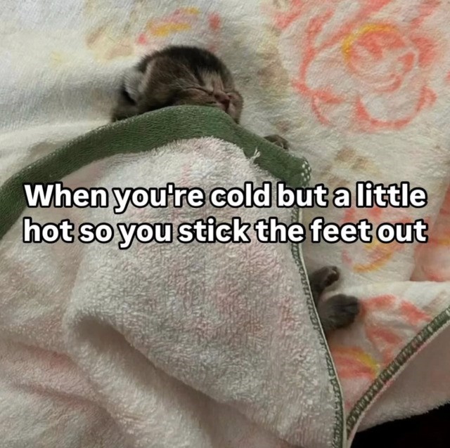 When you're cold but a little hot so you stick the feet out