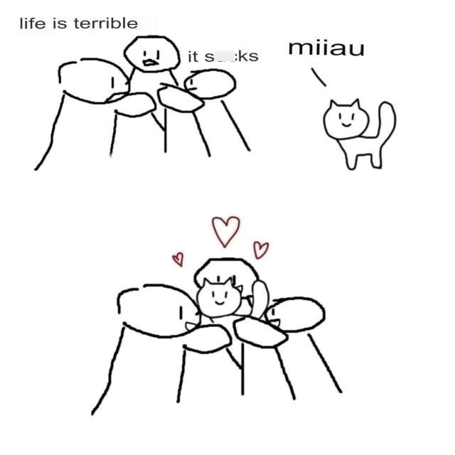 life is terrible it socks miiau