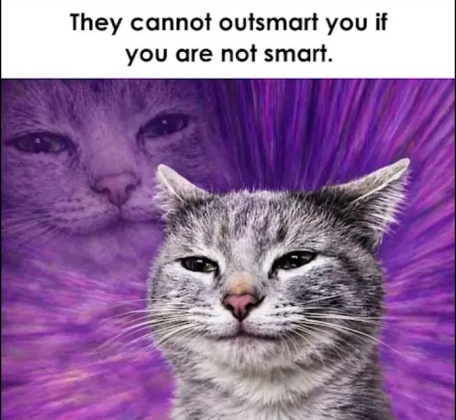 They cannot outsmart you if you are not smart.