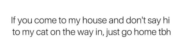 If you come to my house and don't say hi to my cat on the way in, just go home tbh