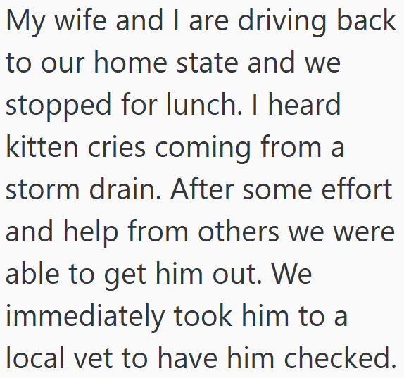 My wife and I are driving back to our home state and we stopped for lunch. I heard kitten cries coming from a storm drain. After some effort and help from others we were able to get him out. We immediately took him to a local vet to have him checked.