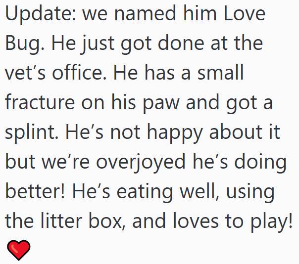 Update: we named him Love Bug. He just got done at the vet's office. He has a small fracture on his paw and got a splint. He's not happy about it but we're overjoyed he's doing better! He's eating well, using the litter box, and loves to play!