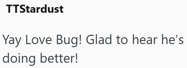 TTStardust Yay Love Bug! Glad to hear he's doing better!