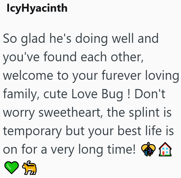 IcyHyacinth So glad he's doing well and you've found each other, welcome to your furever loving family, cute Love Bug ! Don't worry sweetheart, the splint is temporary but your best life is on for a very long time!