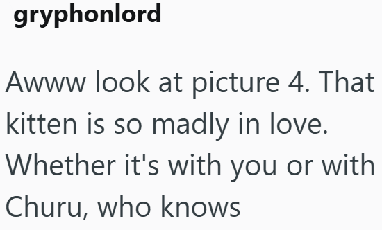 gryphonlord Awww look at picture 4. That kitten is so madly in love. Whether it's with you or with Churu, who knows