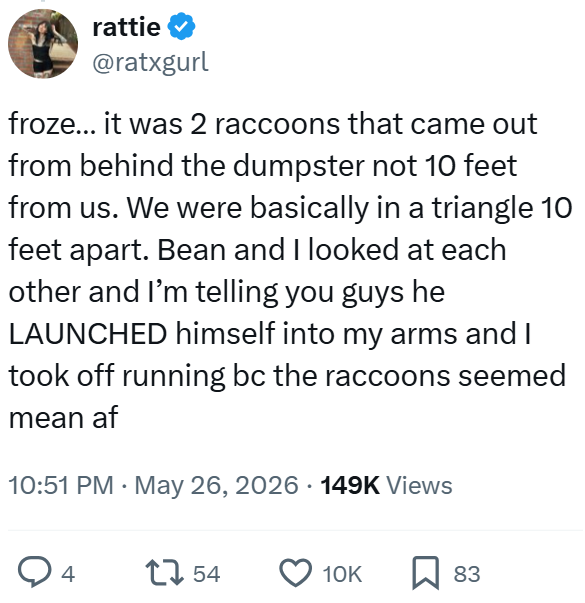 rattie @ratxgurl froze... it was 2 raccoons that came out from behind the dumpster not 10 feet from us. We were basically in a triangle 10 feet apart. Bean and I looked at each other and I'm telling you guys he LAUNCHED himself into my arms and I took off running bc the raccoons seemed mean af • 10:51 PM - May 26, 2026 149K Views 4 1754 10K ☐ 83