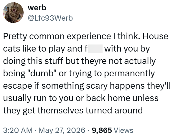 werb @Lfc93Werb Pretty common experience I think. House cats like to play and f with you by doing this stuff but theyre not actually being "dumb" or trying to permanently escape if something scary happens they'll usually run to you or back home unless they get themselves turned around 3:20 AM May 27, 2026 · 9,865 Views
