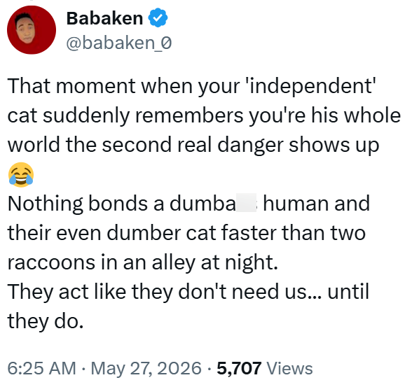 Babaken @babaken_0 That moment when your 'independent' cat suddenly remembers you're his whole world the second real danger shows up Nothing bonds a dumba human and their even dumber cat faster than two raccoons in an alley at night. They act like they don't need us... until they do. 6:25 AM. May 27, 2026 5,707 Views