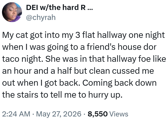 DEI w/the hard R ... @chyrah My cat got into my 3 flat hallway one night when I was going to a friend's house dor taco night. She was in that hallway foe like an hour and a half but clean cussed me out when I got back. Coming back down the stairs to tell me to hurry up. 2:24 AM · May 27, 2026 8,550 Views