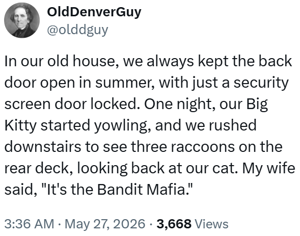 OldDenverGuy @olddguy In our old house, we always kept the back door open in summer, with just a security screen door locked. One night, our Big Kitty started yowling, and we rushed downstairs to see three raccoons on the rear deck, looking back at our cat. My wife said, "It's the Bandit Mafia." 3:36 AM ⚫ May 27, 2026 - 3,668 Views