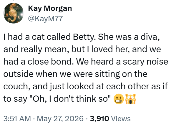 Kay Morgan @KayM77 I had a cat called Betty. She was a diva, and really mean, but I loved her, and we had a close bond. We heard a scary noise outside when we were sitting on the couch, and just looked at each other as if to say "Oh, I don't think so" • • 3:51 AM ⚫ May 27, 2026 3,910 Views