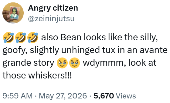 Angry citizen @zeininjutsu also Bean looks like the silly, goofy, slightly unhinged tux in an avante grande story wdymmm, look at those whiskers!!! • 9:59 AM May 27, 2026 5,670 Views
