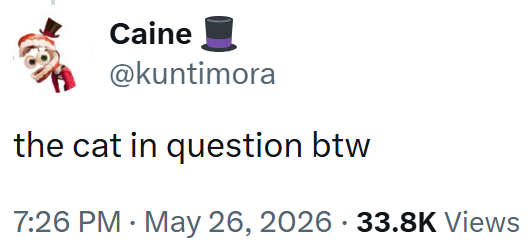 Caine @kuntimora the cat in question btw 7:26 PM - May 26, 2026 33.8K Views