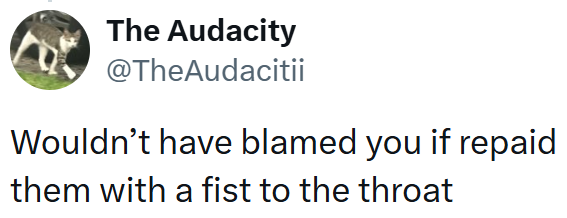 The Audacity @TheAudacitii Wouldn't have blamed you if repaid them with a fist to the throat